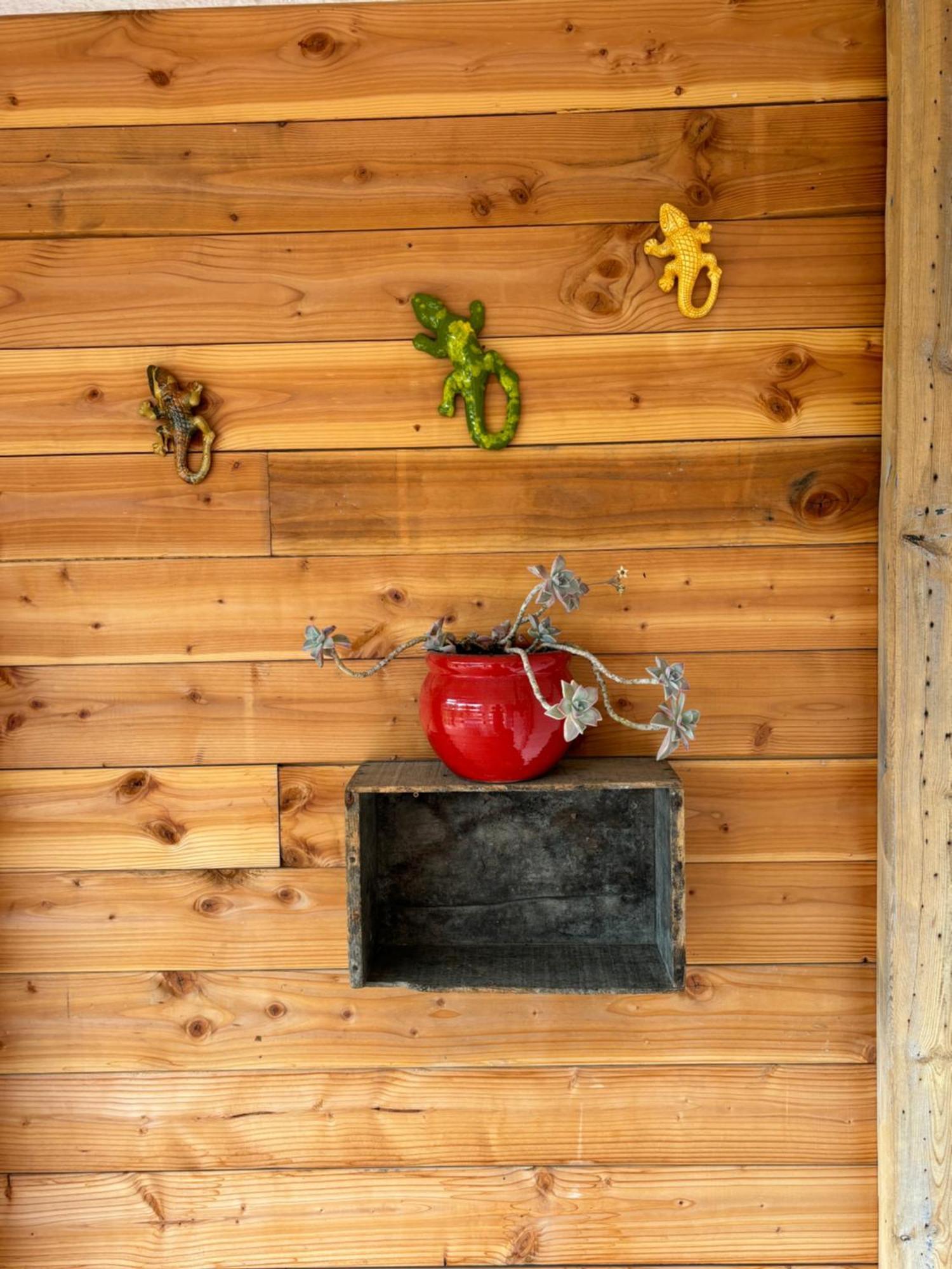 Ferienwohnung Les Flo Location Aigues-Mortes Exterior foto
